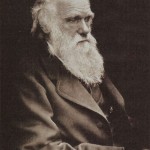 darwin